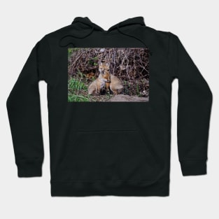 Fox Kits Hoodie